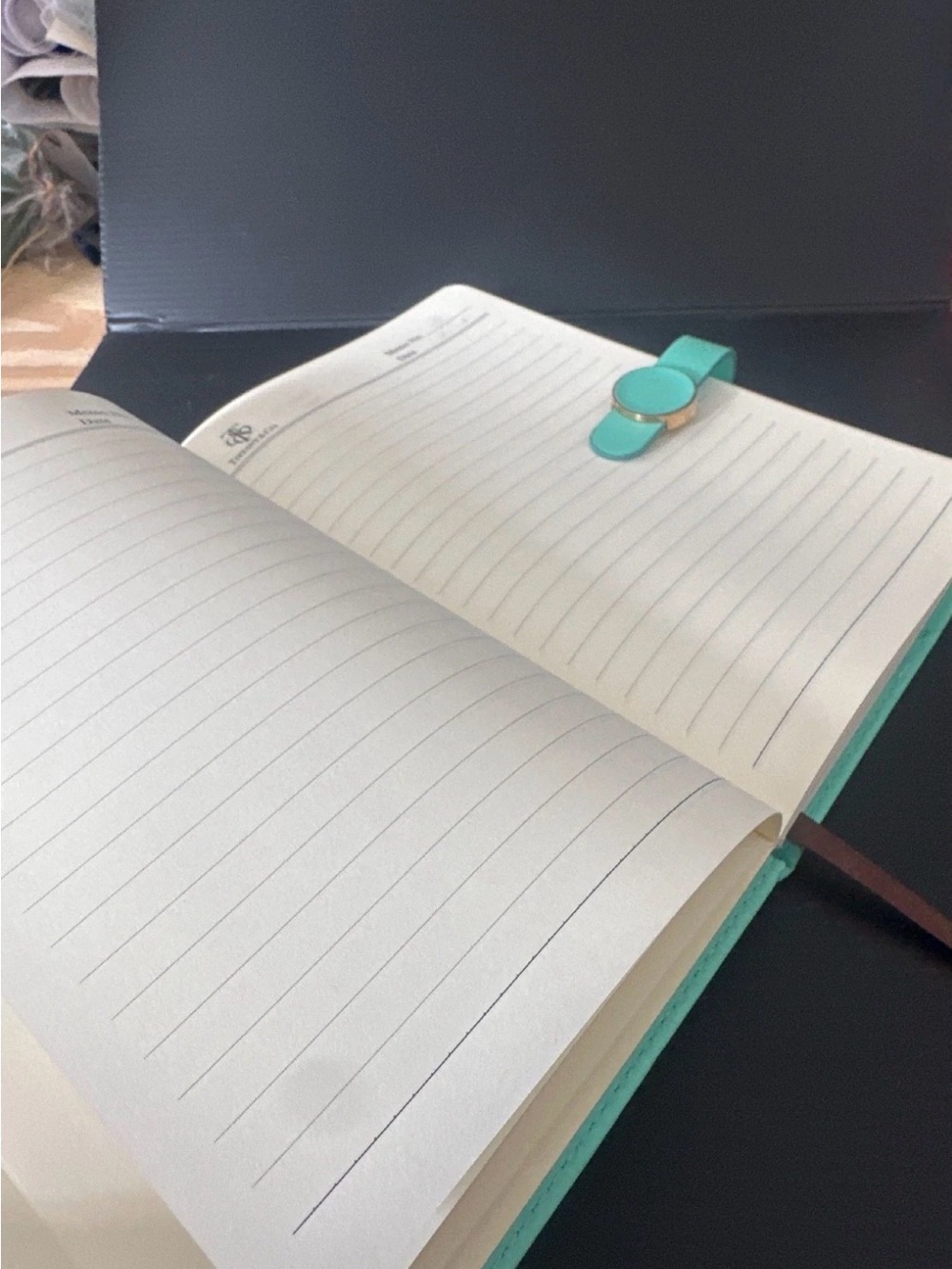 Tiffany & Co. White and Tiffany Blue Leather Notebook Cover - Picture 5 of 6